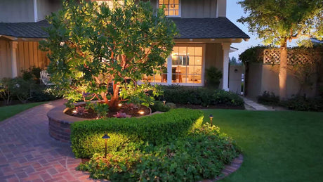 How to Choose LED Bulbs for Landscape Lighting